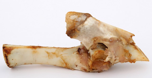 Det smagfulde mysterium bag Iberico Grisens kød